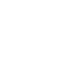 Dog School Academy